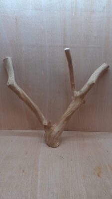 Java Wood - Double Stem - XL 15