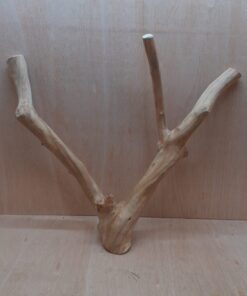 Java Wood - Double Stem - XL 15