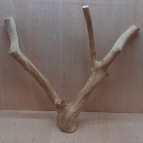 Java Wood - Double Stem - XL 15