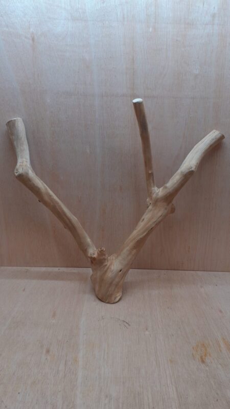 Java Wood - Double Stem - XL 15