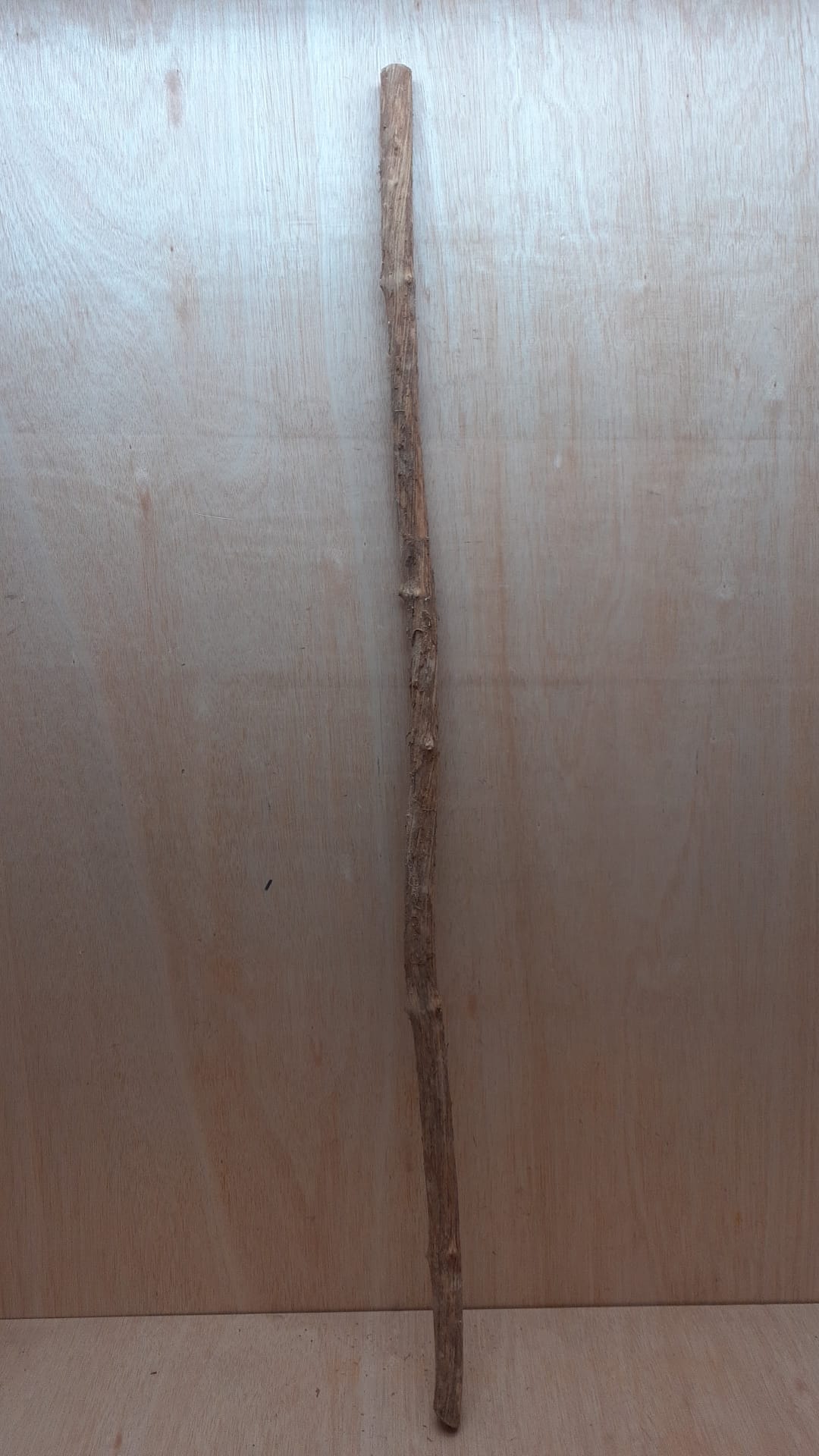 Straight Liana 2-3cm - Long - 15