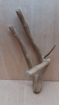 Java Wood - Double Stem - Medium 16