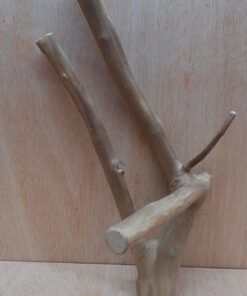 Java Wood - Double Stem - Medium 16