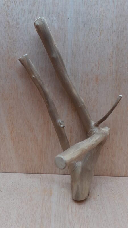 Java Wood - Double Stem - Medium 16