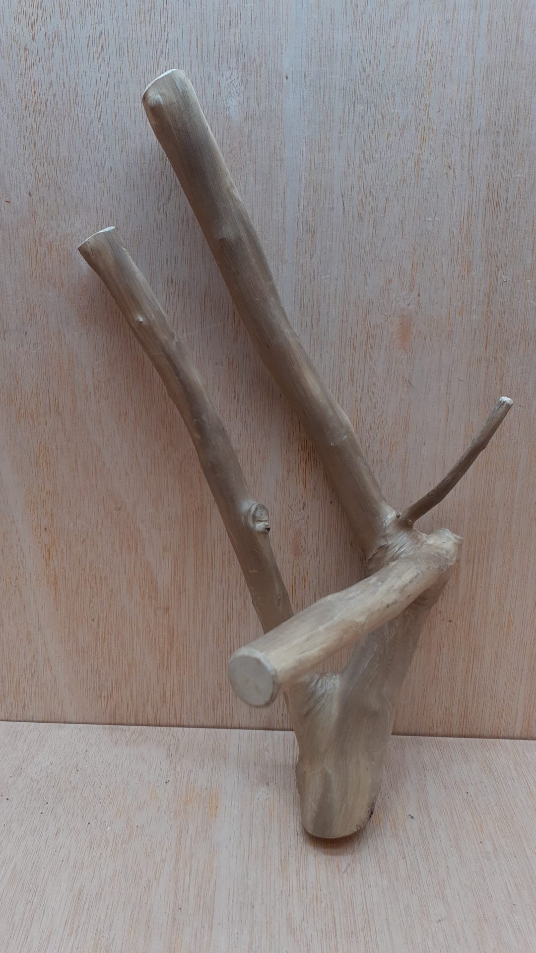 Java Wood - Double Stem - Medium 16