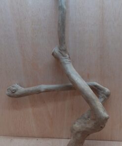 Java Wood - Double Stem - XL 16