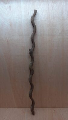 Monkey Ladder Liana - Long - 17