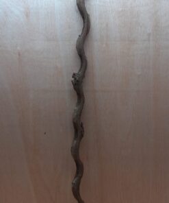 Monkey Ladder Liana - Long - 17