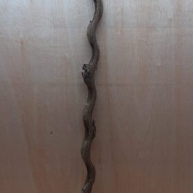 Monkey Ladder Liana - Long - 17