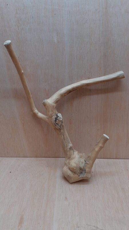 Java Wood - Double Stem - Medium 17