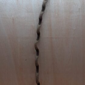 Monkey Ladder Liana - Long - 18