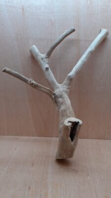 Java Wood - Double Stem - XL 19