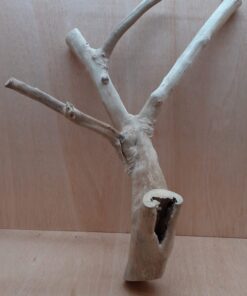 Java Wood - Double Stem - XL 19