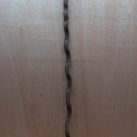 Monkey Ladder Liana - Long - 20