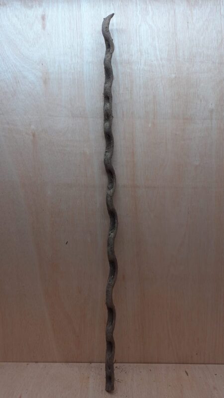 Monkey Ladder Liana - Long - 20