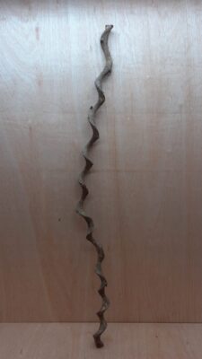 Curved Liana - Long - 20