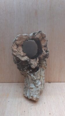 Small Cork Tube - Upto 40cm - 23
