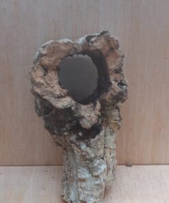 Small Cork Tube - Upto 40cm - 23