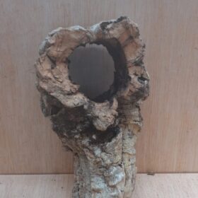 Small Cork Tube - Upto 40cm - 23