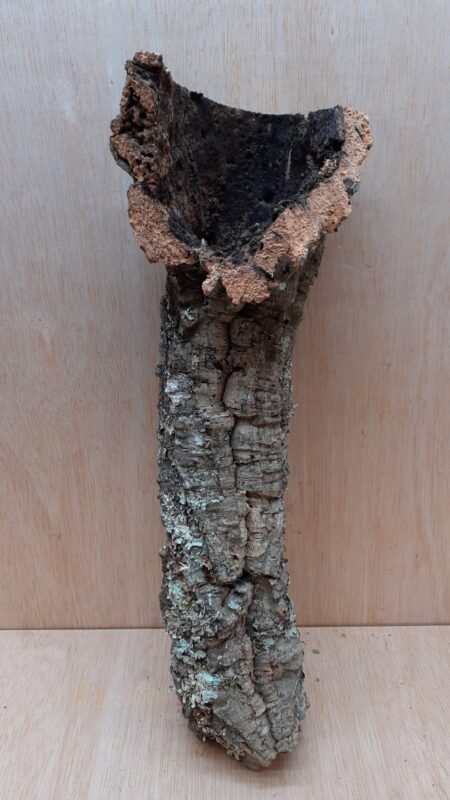 Small Cork Tube - 40-60cm - 23