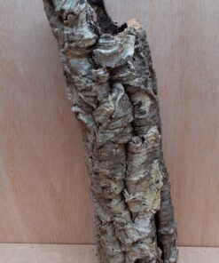 Small Cork Tube - 40-60cm - 24