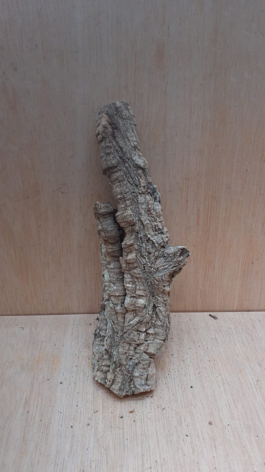 Small Cork Tube - Upto 40cm - 30