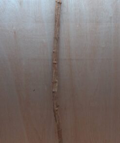 Straight Liana 2-3cm - Long - 17