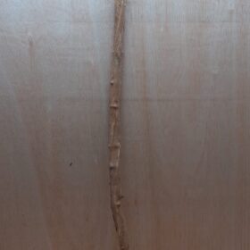 Straight Liana 2-3cm - Long - 17