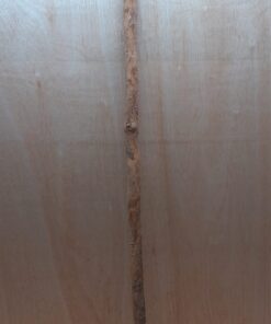 Straight Liana 2-3cm - Long - 20