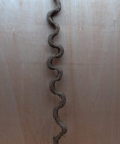 Monkey Ladder Liana - Long - 14