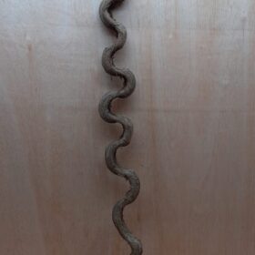 Monkey Ladder Liana - Long - 14