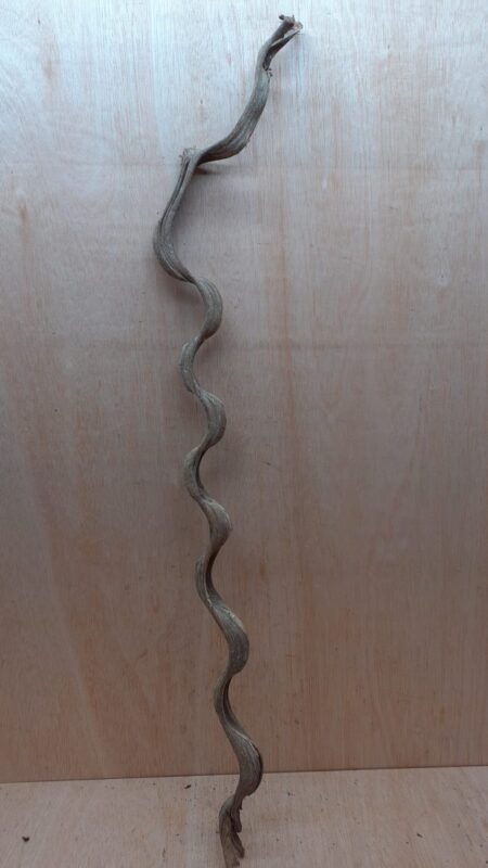 Monkey Ladder Liana - Long - 16