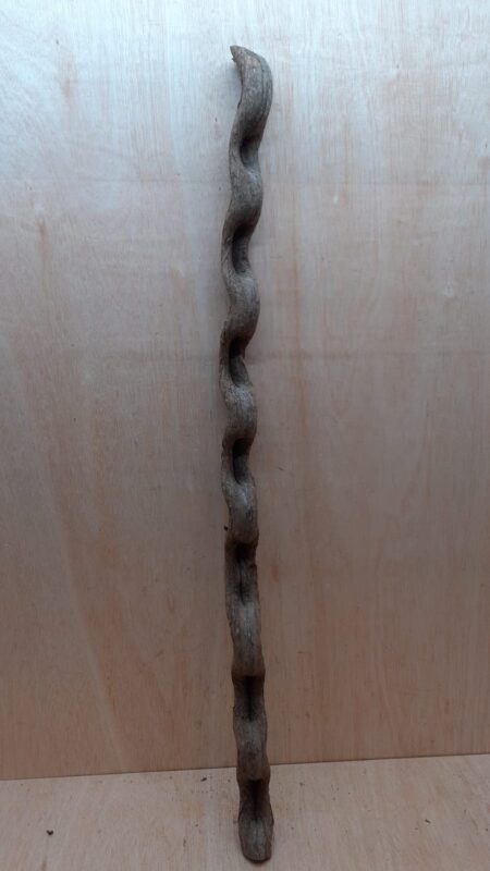 Monkey Ladder Liana - Long - 19