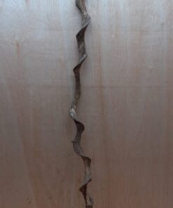 Curved Liana - Long - 12