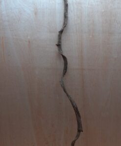 Curved Liana - Long - 16