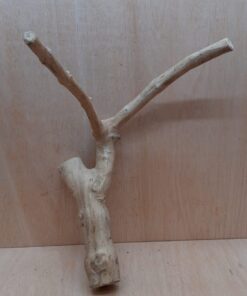 Java Wood - Double Stem - Large 12