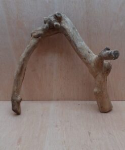 Java Wood - Double Stem - Large 17