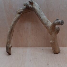 Java Wood - Double Stem - Large 17
