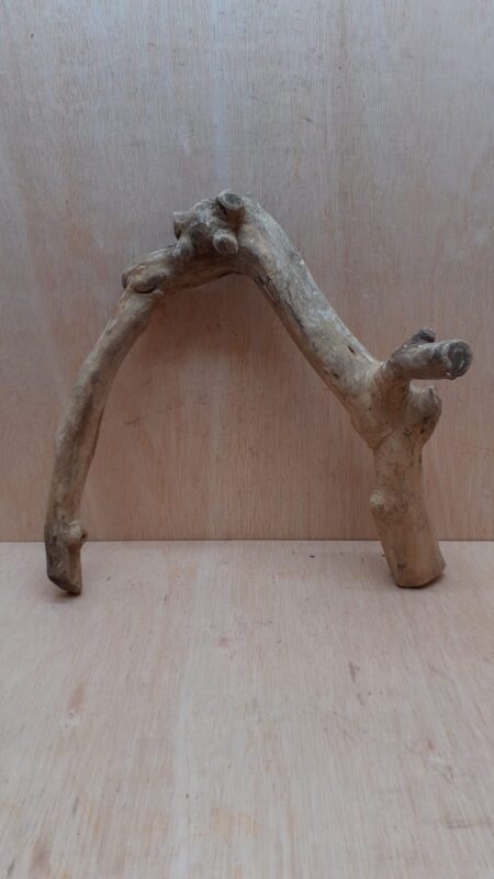 Java Wood - Double Stem - Large 17