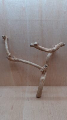 Java Wood - Double Stem - Large 18