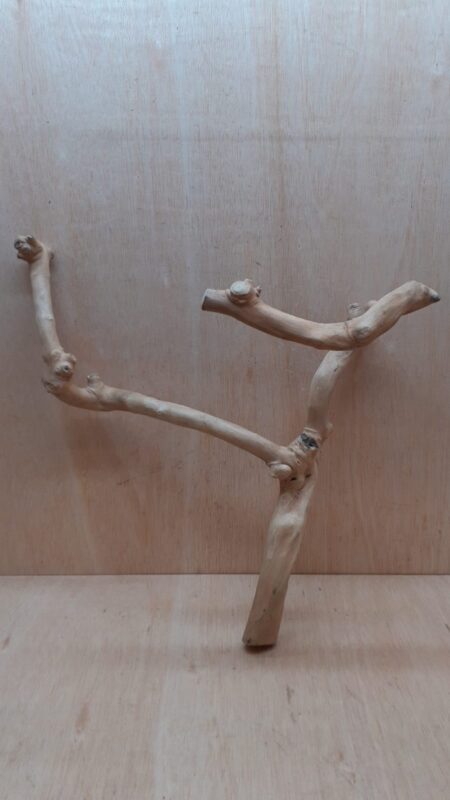 Java Wood - Double Stem - Large 18