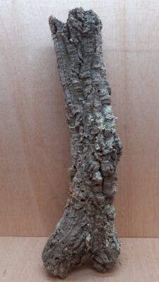 Small Cork Tube - 40-60cm - 29