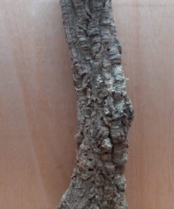 Small Cork Tube - 40-60cm - 29