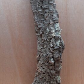 Small Cork Tube - 40-60cm - 29