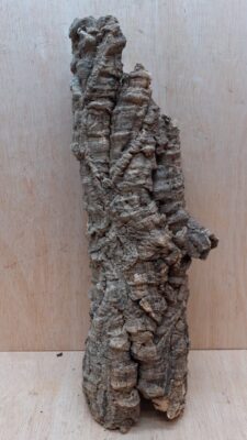 Small Cork Tube - 40-60cm - 21