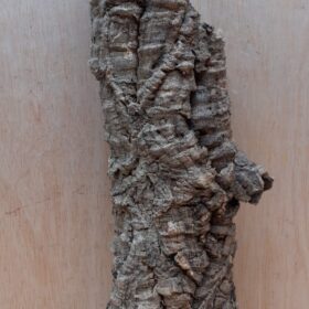 Small Cork Tube - 40-60cm - 21