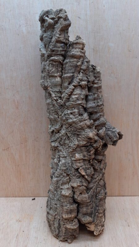 Small Cork Tube - 40-60cm - 21