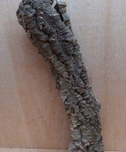 Small Cork Tube - 40-60cm - 26