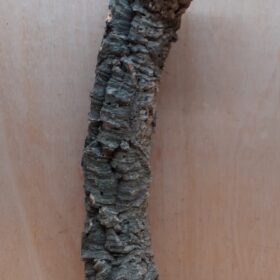 Small Cork Tube - 40-60cm - 27