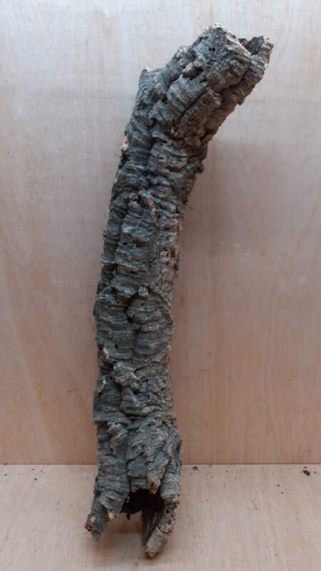 Small Cork Tube - 40-60cm - 27